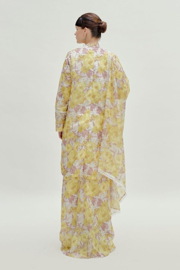 solana y 3 solana y 3